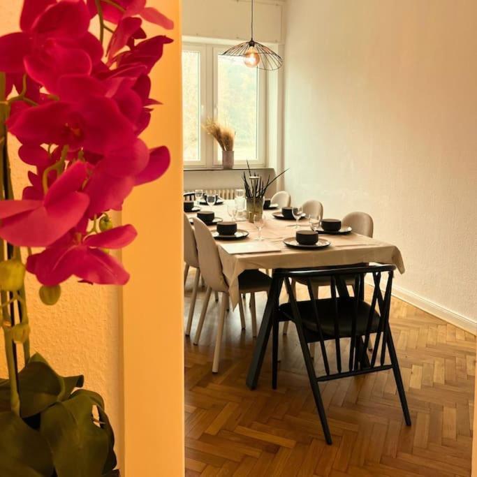 Gemuetliche Rheinblick Residenz Apartment Кобленц Екстериор снимка