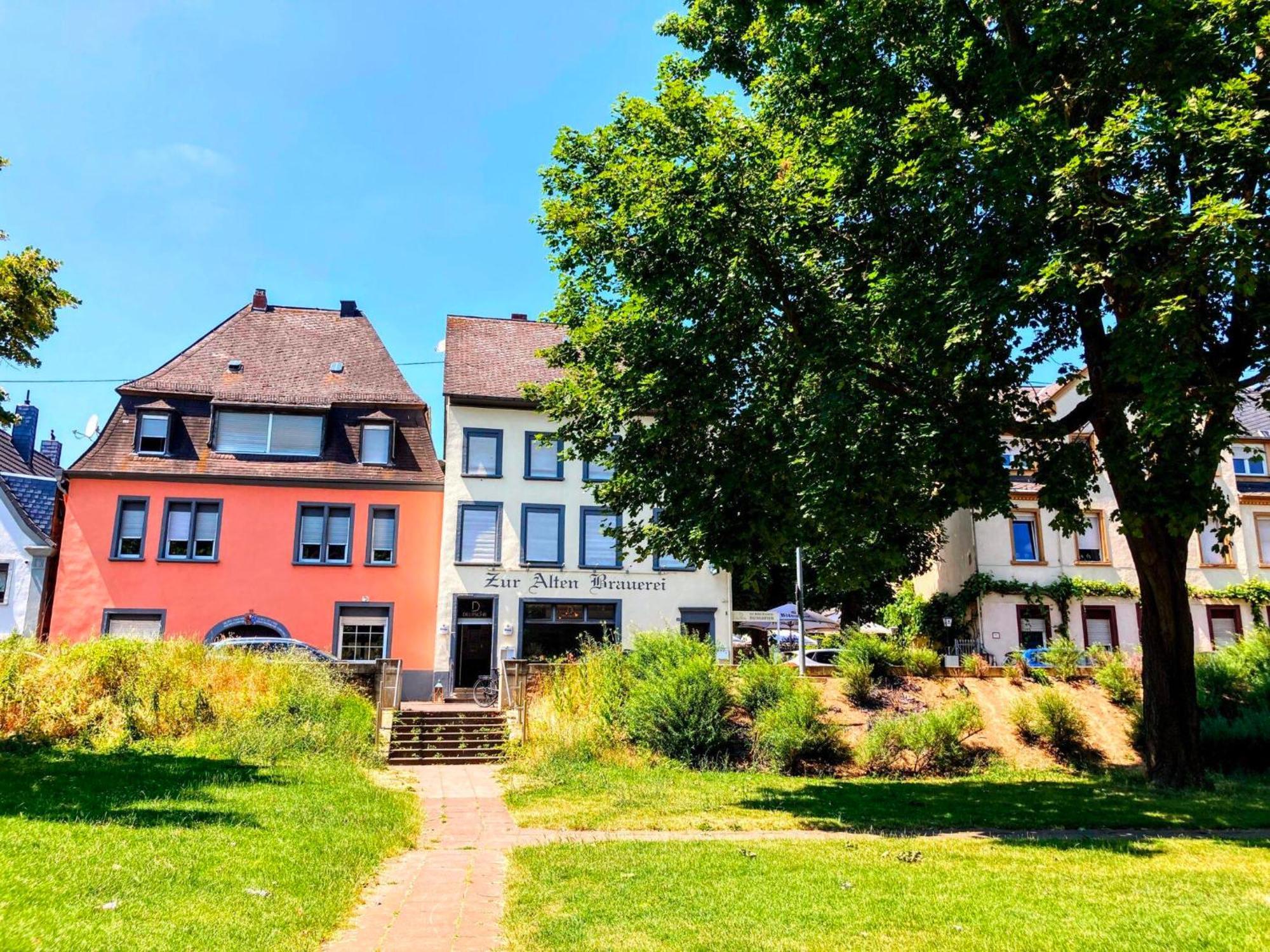 Gemuetliche Rheinblick Residenz Apartment Кобленц Екстериор снимка